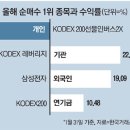 개미의 눈물…인버스 대박 좇다 홀로 쪽박....인버스형상장지수펀드, #ETF, #KODEX200선물인버스2X, #KODEX 레버리지 이미지