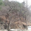 하천리-5 이미지