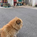 빽다방목포여객