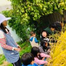 큰산어린이집 이미지