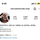 [W.4] 웨딩스냅 체리버터케이크 계약 후기 _완전 강추✨