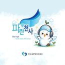 파란천사 서포터즈 12기 우수 서포터즈상 수상 후기