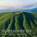 제주 그리고 이미지