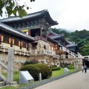 경주시티투어천마관광 이미지