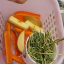 가산한우돼지마을 이미지