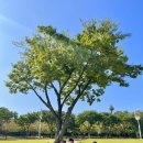 달서유치원 이미지