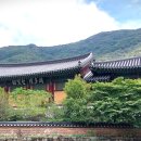 불갑사 이미지