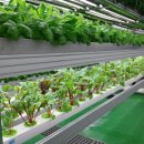 바이오빌딩 이미지