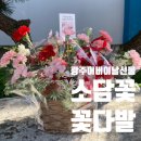 소담꽃 이미지