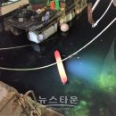 해양경찰서 앞 이미지