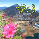 봉산면 | 합천호 봉산면 드라이브 후기, 벚꽃이 진 후에 방문해서 느낀 솔직한 감정