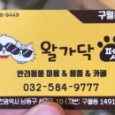 왈가닥펫 이미지