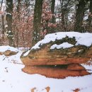 국사봉 지석묘군 이미지
