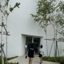 강원도 양양 대형 베이커리 카페 - 숲속의 빈터 내돈내산 후기