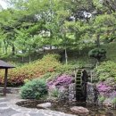 숲속 - 동두천시 중앙로 308 | 숲속