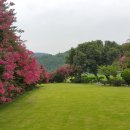 아라독채펜션 이미지