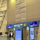 화수로47번길 23 | 베트남 나트랑 아기랑 에어서울 타고간 왕복 비행 후기