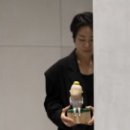 플라스틱 신화들 이미지