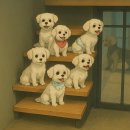 Diary 7 : 출근..퇴근..운동 일상