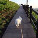 송정 박상진호수공원 입구 이미지