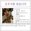 최*모 이미지