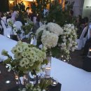 베스트웨스턴 프리미어 강남호텔 이미지