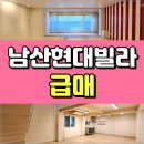 현대힐즈공인중개사사무소 | 신당동 버티고개힐즈 남산현대빌라 매매 하복층 감각적인 인테리어의 고급빌라