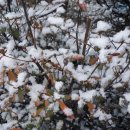 부천테크노파크 2단지 이미지