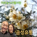 금성농수산물