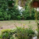 매일여인숙 이미지