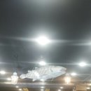 인계맛집 바다향 왕코다리 이미지