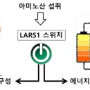 에너지원 티스토리