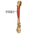 바디신스튜디오 이미지