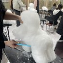 영천애견미용 이미지