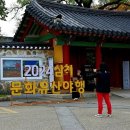뒷뜰주막 | [축제 후기]2024 삼척문화유산야행 탐방기