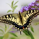 경남빌딩 이미지