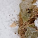 나자바바라 이미지