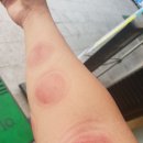 경희일생한의원 이미지