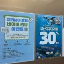 부띠크 엘리시아 | 해운대 오션뷰 엘리시아 호텔 오션시티 새해 더블 일출 후기