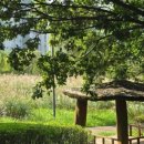 만수근린공원 이미지