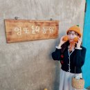제주서귀포감귤체험 감성 가득했던 귤 따기 체험 엉또돌다카페농원