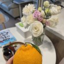 씨유 주문진수복점 | 1월 일상 - 결혼준비, 다이어트, 까마귀삼구