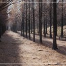 위드유정신건강의학과의원 이미지