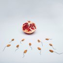 주디자인제작소