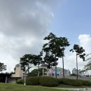 월령상점 | 18개월아기랑 파주가볼만한곳 경기도실내가볼만한곳 파주놀이구름 방문후기