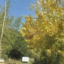 토암 | 부산 한식 맛집 '토암' 줄서서 먹는 기장 찐 맛집 후기