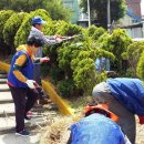 봉래2동-10 이미지