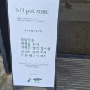 고인돌 | 강화도 고인돌 카페 가족나들이 다녀온 솔직후기(주차&amp;테라스)