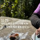 인우여행사