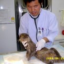 영광동물병원 이미지